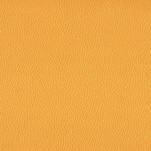 yellow plain misc fabric from Cristina Marrone
