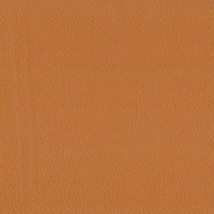 orange plain misc fabric from Cristina Marrone