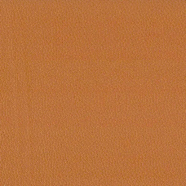 orange plain misc fabric from Cristina Marrone