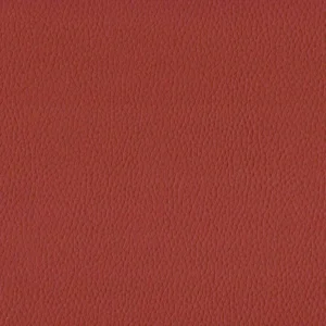 red plain misc fabric from Cristina Marrone