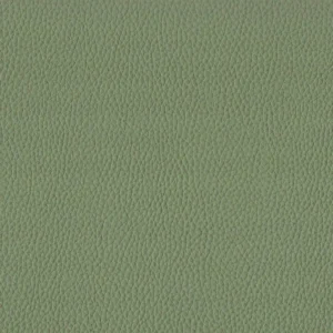 green plain misc fabric from Cristina Marrone