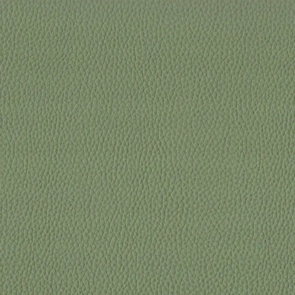 Toro Fabric - 3245 by green plain misc fabric from Cristina Marrone