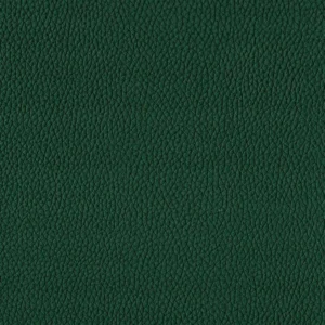 green plain misc fabric from Cristina Marrone
