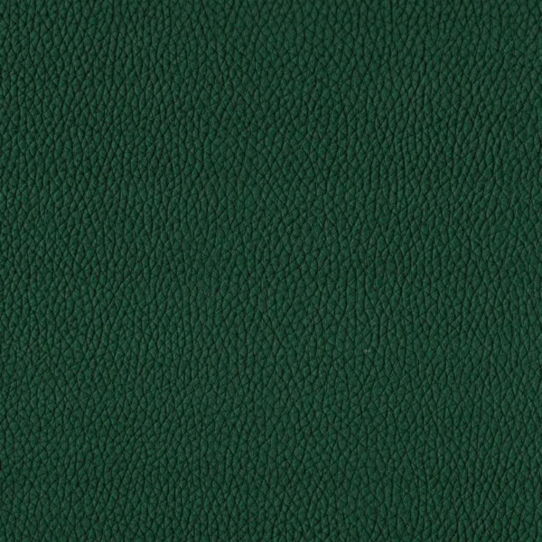 Toro Fabric - 3246 by green plain misc fabric from Cristina Marrone