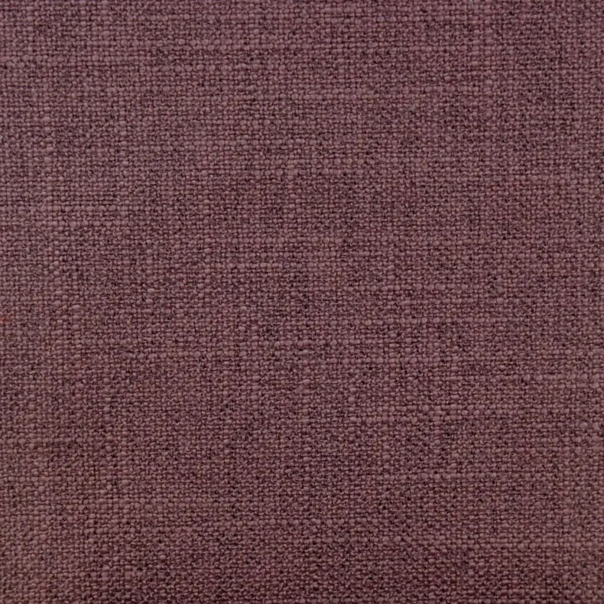 purple plain woven fabric from Cristina Marrone