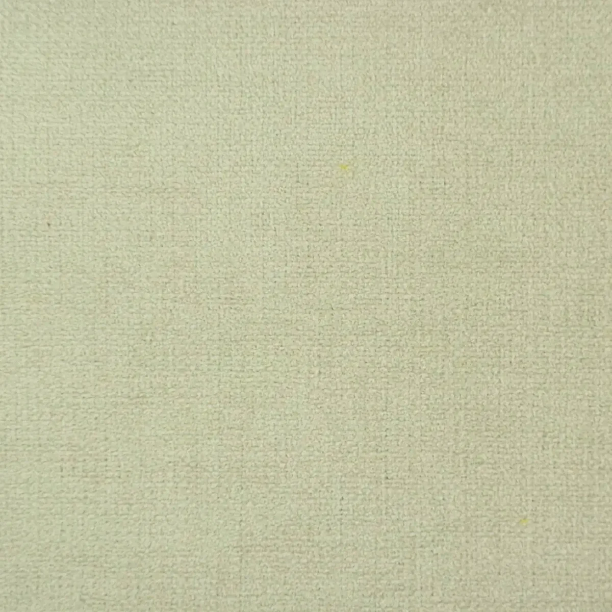 Cantare Fabric - Ivory by white plain velvet-chenille fabric from Cristina Marrone