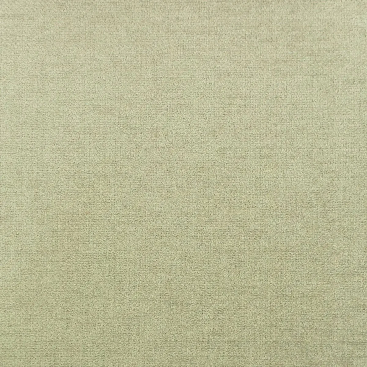 Cantare Fabric - Bamboo by black-grey plain velvet-chenille fabric from Cristina Marrone