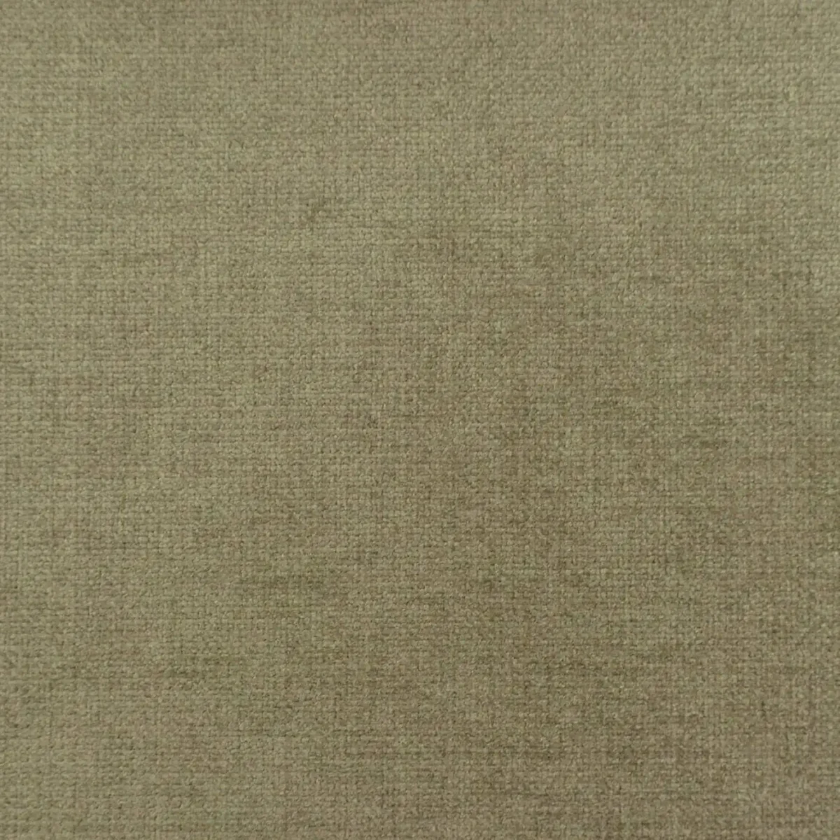 Cantare Fabric - Taupe by brown plain velvet-chenille fabric from Cristina Marrone
