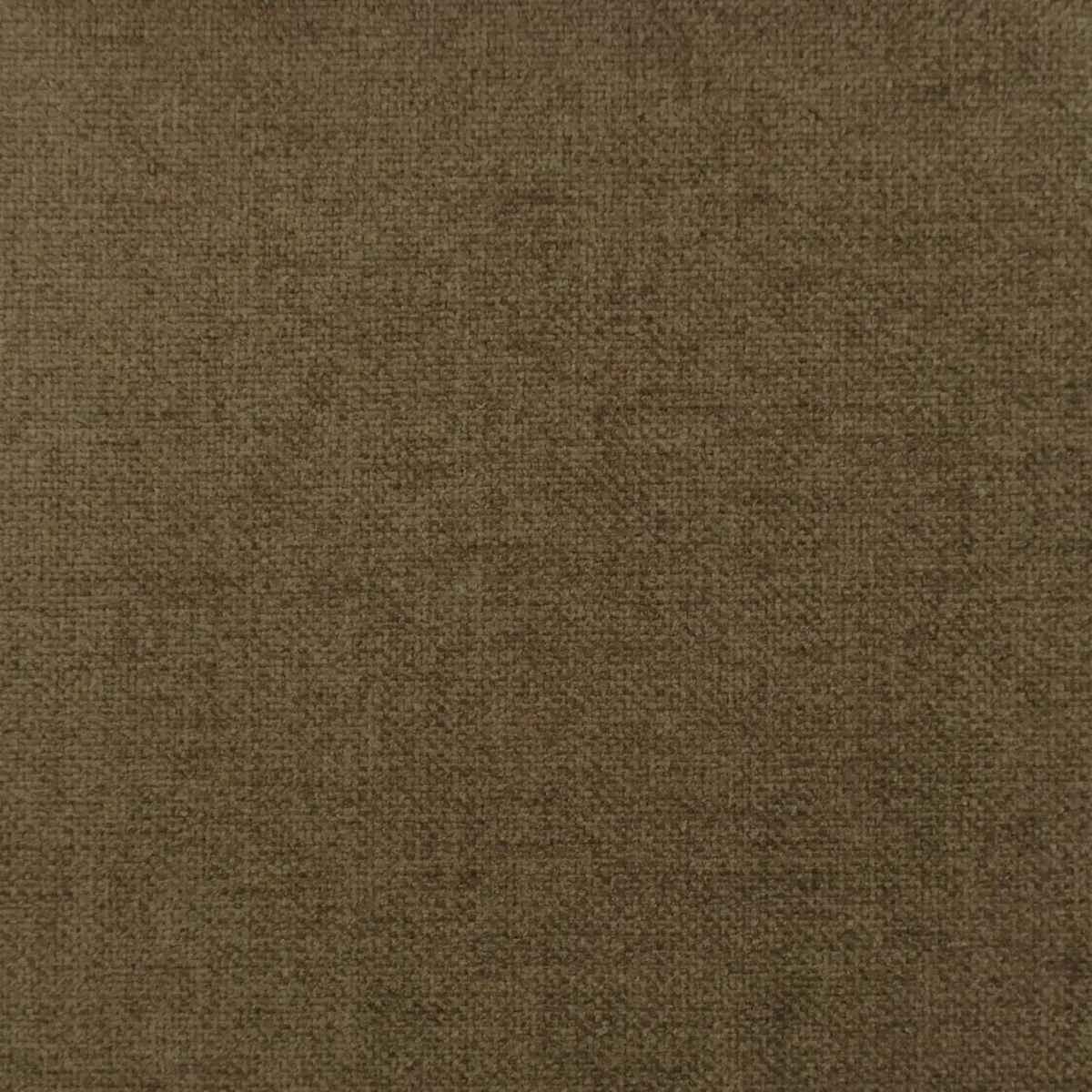 brown plain velvet-chenille fabric from Cristina Marrone