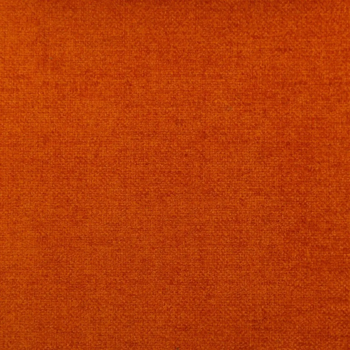 Cantare Fabric - Orange by orange plain velvet-chenille fabric from Cristina Marrone