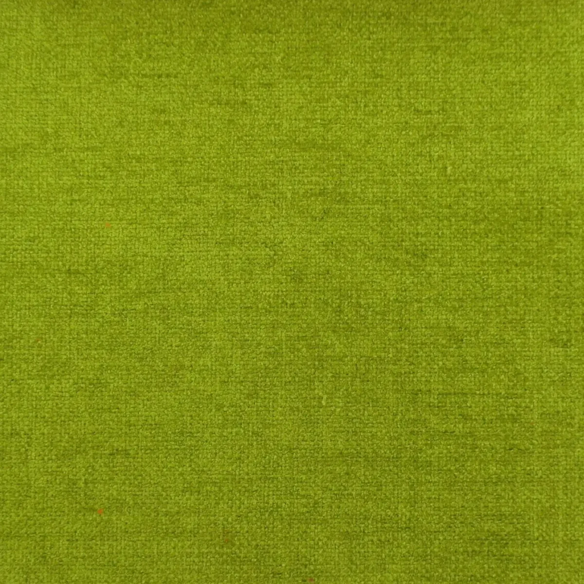 Cantare Fabric - Lime by green plain velvet-chenille fabric from Cristina Marrone
