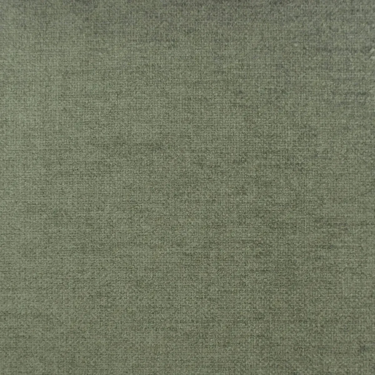 black-grey plain velvet-chenille fabric from Cristina Marrone