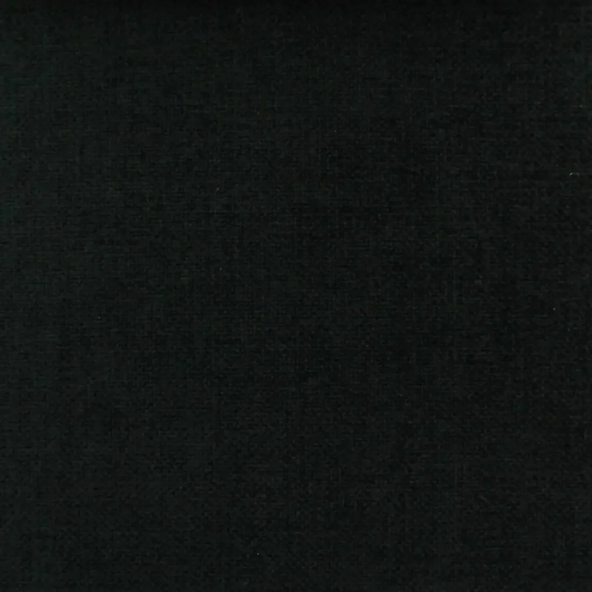 Cantare Fabric - Noir by black-grey plain velvet-chenille fabric from Cristina Marrone