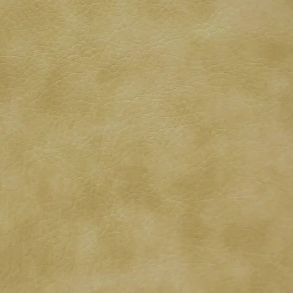 Memphis Fabric - Vanilla by brown plain misc fabric from Cristina Marrone