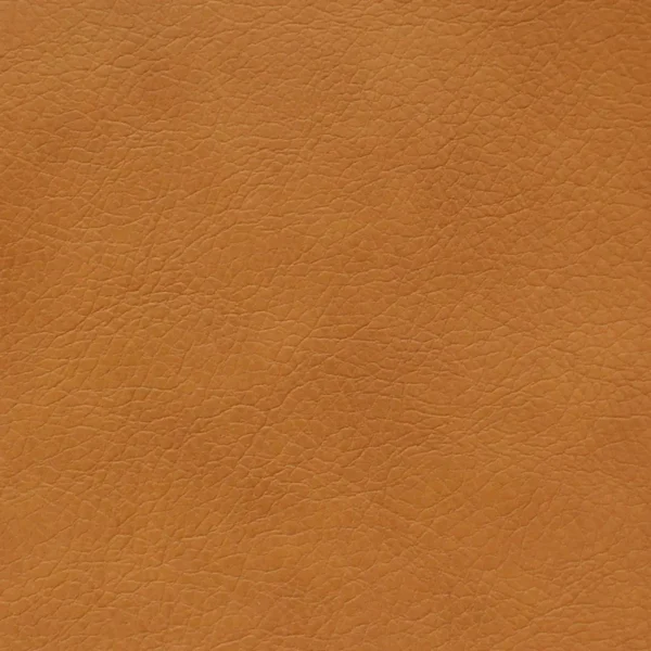 Memphis Fabric - Tropic by brown plain misc fabric from Cristina Marrone