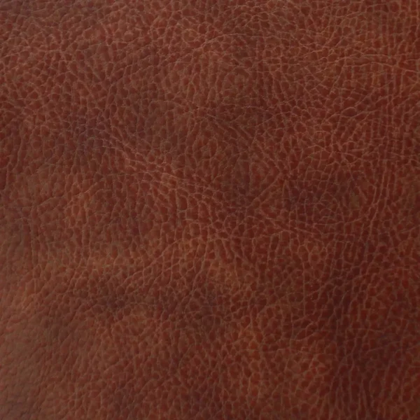 Memphis Fabric - Spanish by brown plain misc fabric from Cristina Marrone