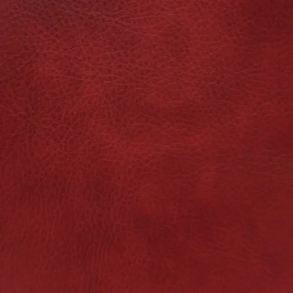 Memphis Fabric - Royal by red plain misc fabric from Cristina Marrone