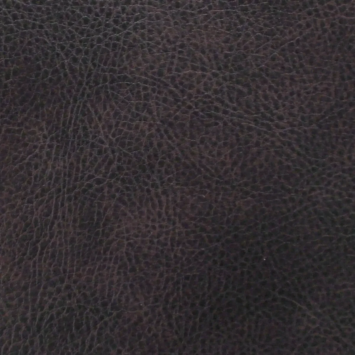 Memphis Fabric - Regal by purple plain misc fabric from Cristina Marrone