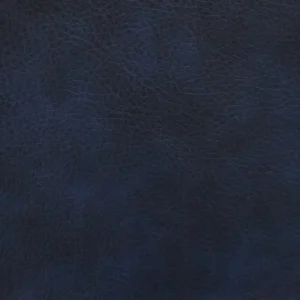 blue plain misc fabric from Cristina Marrone