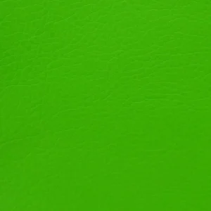 green plain misc fabric from Cristina Marrone