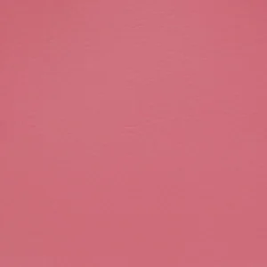 pink plain misc fabric from Cristina Marrone