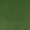 green plain velvet-chenille fabric from Cristina Marrone
