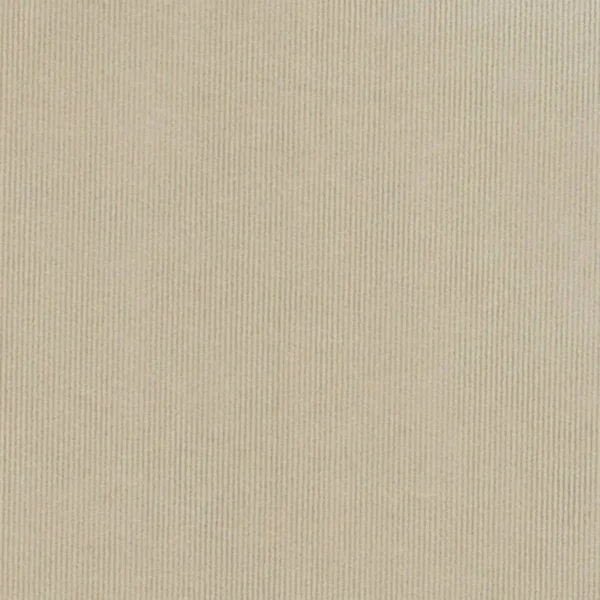 Dolce Fabric - Whisper by neutral plain velvet-chenille fabric from Cristina Marrone