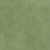 green plain velvet-chenille fabric from Cristina Marrone