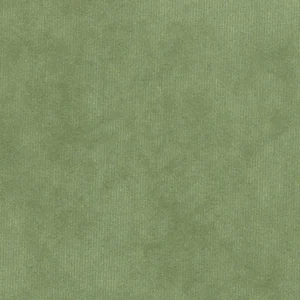 green plain velvet-chenille fabric from Cristina Marrone