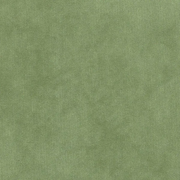 Dolce Fabric - Leaf by green plain velvet-chenille fabric from Cristina Marrone