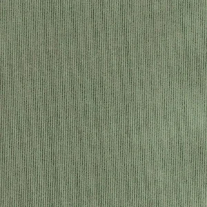 green plain velvet-chenille fabric from Cristina Marrone