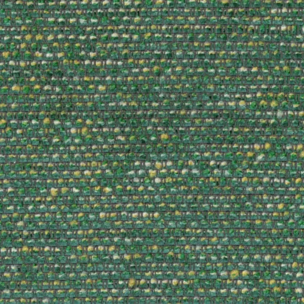 Elba Fabric - Amazon by green plain woven fabric from Cristina Marrone
