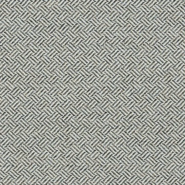 Uffizi Fabric - Fossil by black-grey plain woven fabric from Cristina Marrone
