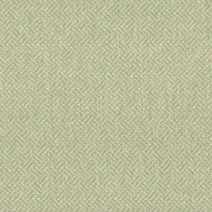 green plain woven fabric from Cristina Marrone