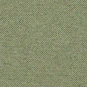 green plain woven fabric from Cristina Marrone