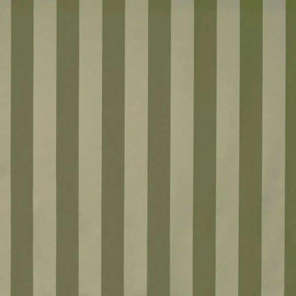 Newbridge Fabric - Willow by green striped jacquard fabric from Prestigious Textiles