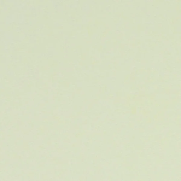 Alora Fabric - Celadon by green plain cotton fabric from Studio G