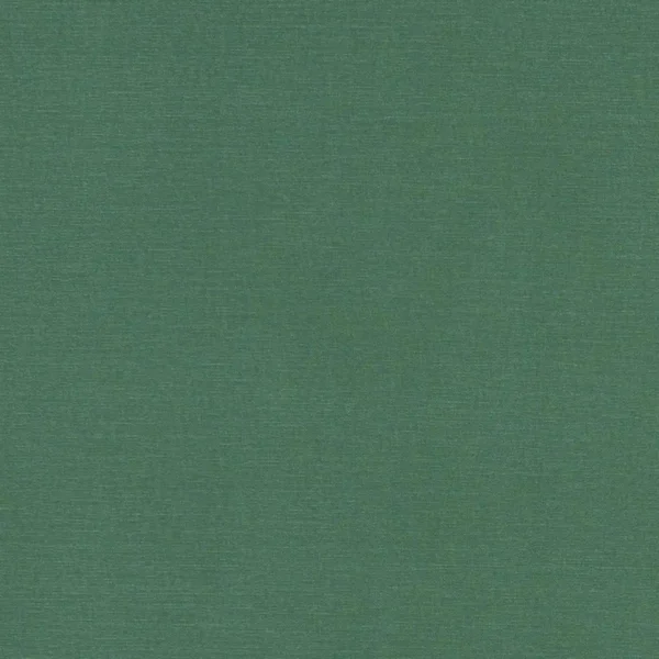 Alora Fabric - Forest by green plain cotton fabric from Studio G