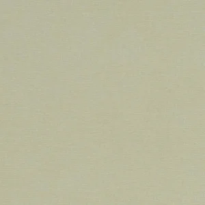 green plain cotton fabric from Studio G