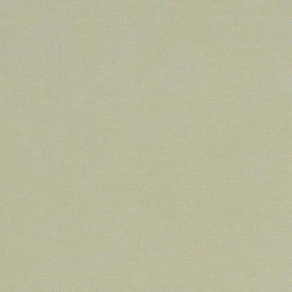 Alora Fabric - Khaki by green plain cotton fabric from Studio G