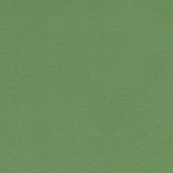 green plain cotton fabric from Studio G