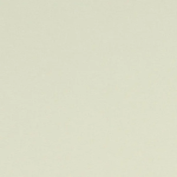 Alora Fabric - Parchment by white plain cotton fabric from Studio G