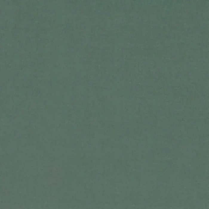 Barcelona Fabric - Fir swatch