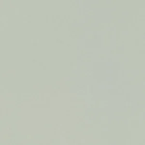 black-grey plain velvet-chenille fabric from Villa Nova