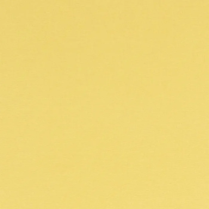 Alora Fabric - Buttercup swatch