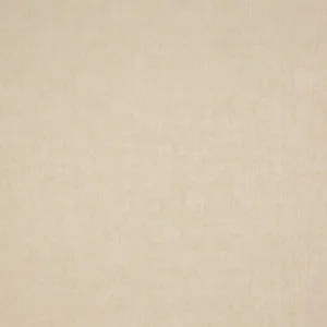 neutral plain cotton fabric from Prestigious Textiles
