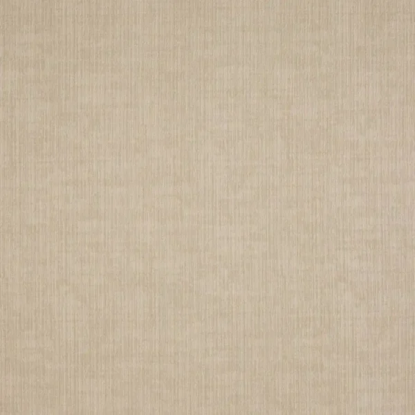 Spencer Fabric - Ecru by neutral plain cotton fabric from Prestigious Textiles
