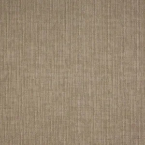 neutral plain cotton fabric from Prestigious Textiles