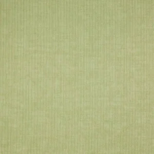 green plain cotton fabric from Prestigious Textiles