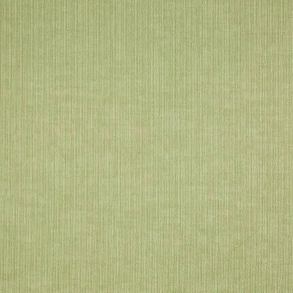 Spencer Fabric - Willow by green plain cotton fabric from Prestigious Textiles